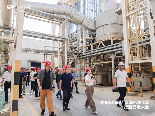 綠色溯源 品質引領丨走進千年舟工廠,領略智能制造硬核實力