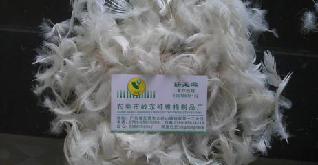 嶺東廠 沙發(fā)羽絨 鴨絨 填充 羽毛羽絨