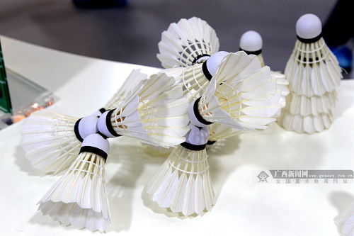 網眼看貴港 網媒記者聚焦貴港成就