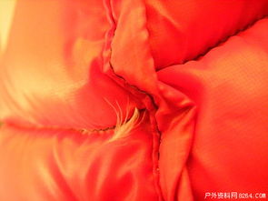 超輕面料羽絨制品鉆絨現象全解析 以事實說話，理性看待品質挑戰